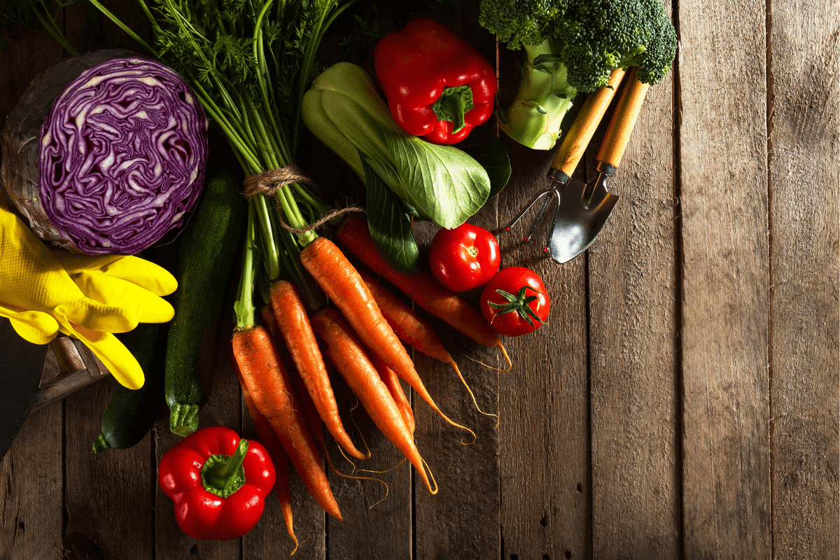 Frisches Gemüse für ein vegetarisches Fondue: lila Kohl, Karotten, Paprika, Zucchini, Tomaten und Brokkoli auf Holzuntergrund.