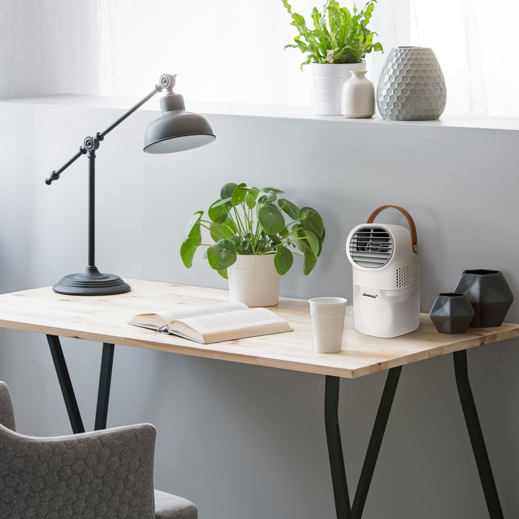 Kompakter Luftwäscher von Steba mit Traggriff, platziert auf einem Holzschreibtisch neben Pflanzen und einer Lampe.