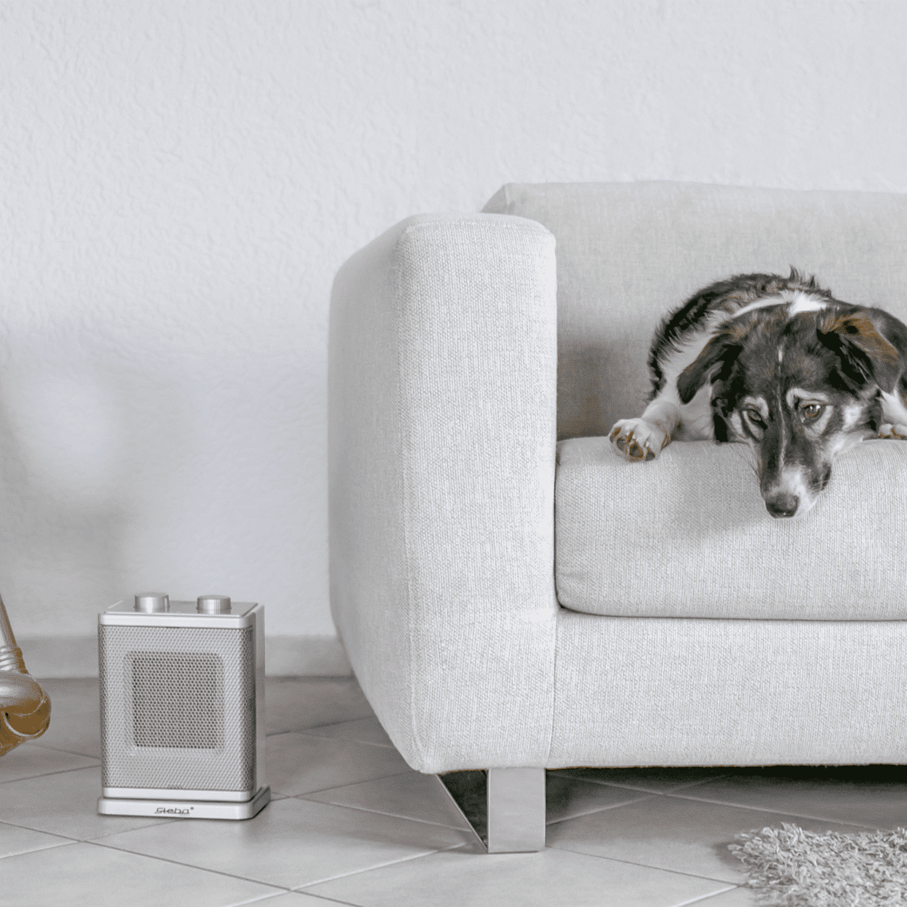 Keramikheizer Steba KH4 steht neben einem hellen Sofa, während ein Hund entspannt darauf liegt.