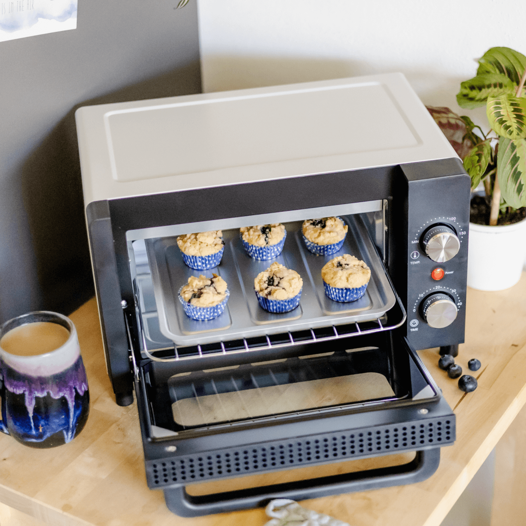 Mini-Backofen von Steba mit Muffins in blauen Förmchen auf einem Backblech, temperatur- und zeiteinstellbare Regler.